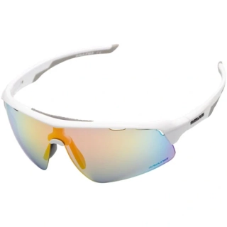 Sluneční brýle Rawlings 2001