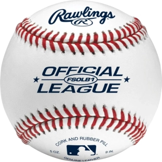 Rawlings míč FSOLB1